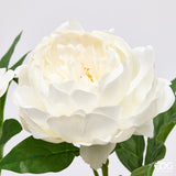 edg enzo de gasperi edg enzo de gasperi peonia ramo con foglie ass h 58 cm pianta artificiale bianco 1 pz ean 8059824647283