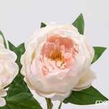 edg enzo de gasperi edg enzo de gasperi peonia ramo con foglie ass h 58 cm pianta artificiale rosa 1 pz ean 8059824647207