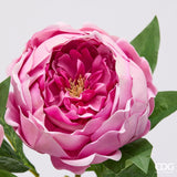 edg enzo de gasperi edg enzo de gasperi peonia ramo con foglie ass h 58 cm pianta artificiale rosa antico 1 pz ean 8059824647245