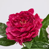 edg enzo de gasperi edg enzo de gasperi peonia ramo con foglie ass h 58 cm pianta artificiale rosa o fucsia 1 pz ean 8059824647269