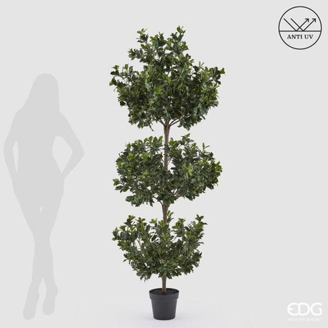 edg enzo de gasperi edg enzo de gasperi pianta artificiale agrifoglio h 188 cm con vaso anti uv verde per interno ed esterno ean 8059824655318