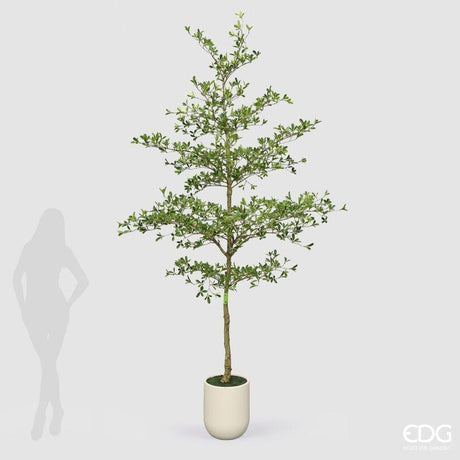 edg enzo de gasperi edg enzo de gasperi pianta artificiale bucida buceras vogue con vaso h 300 cm pianta decorativa realistica design moderno ean 8059824655097