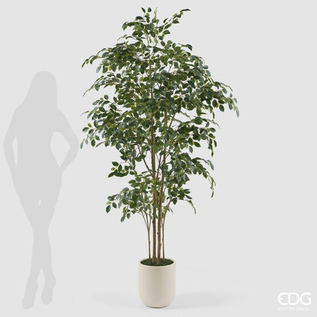 edg enzo de gasperi edg enzo de gasperi pianta artificiale ficus beniamino vogue con vaso h210 cm pianta decorativa realistica design moderno ean 8059824655059