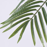edg enzo de gasperi edg enzo de gasperi pianta artificiale palma areca vogue con vaso h210 cm pianta decorativa realistica design moderno ean 8059824655035
