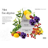 edg enzo de gasperi edg enzo de gasperi profumatore bottiglia opal 500 ml h 185 cm mint eucalyptus ean 8059824627285