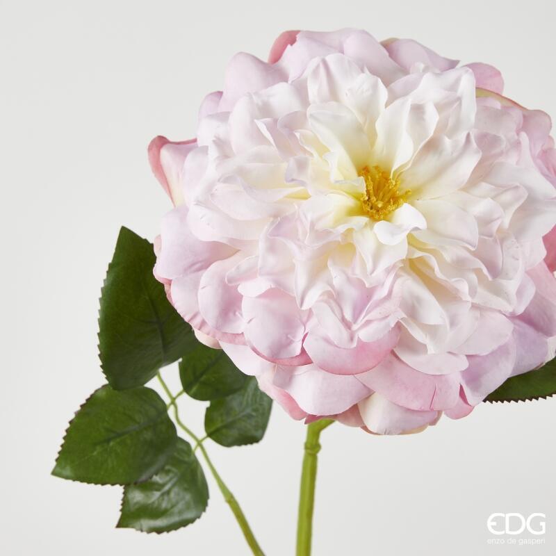 edg enzo de gasperi edg enzo de gasperi rosa jumbo ramo con foglie h 80 cm d 18 cm pianta artificiale colore crema rosa ean 8059824490421