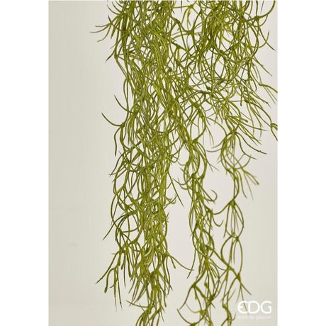 edg enzo de gasperi edg enzo de gasperi tillandsia west cadente h 75 cm pianta artificiale verde salvia ean 8056372380082