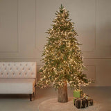 edg enzo de gasperi pino spark h 180 cm d 125 cm 5 060 led verde ean 8056372711091