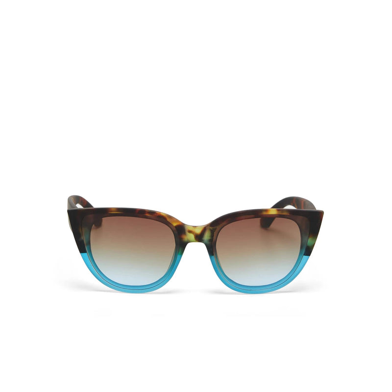 okkia okkia occhiale da sole premontato gatto lite mod silvia havana blue ean 8052862288951
