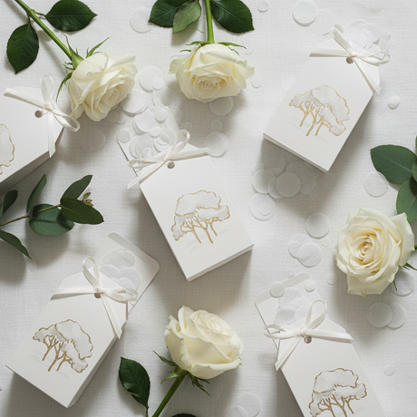 Tag scatolina Scotton intrecci alberi avorio 5,5×3,5×10cm  CONF 10 PZ. Bomboniera matrimonio e cerimonia elegante. ean 8007402284528