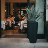 Dehors ristorante