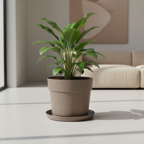 Interno living moderno