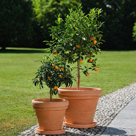 teraplast teraplast vaso doppio bordo 50 resina anticato ean 8032841760197