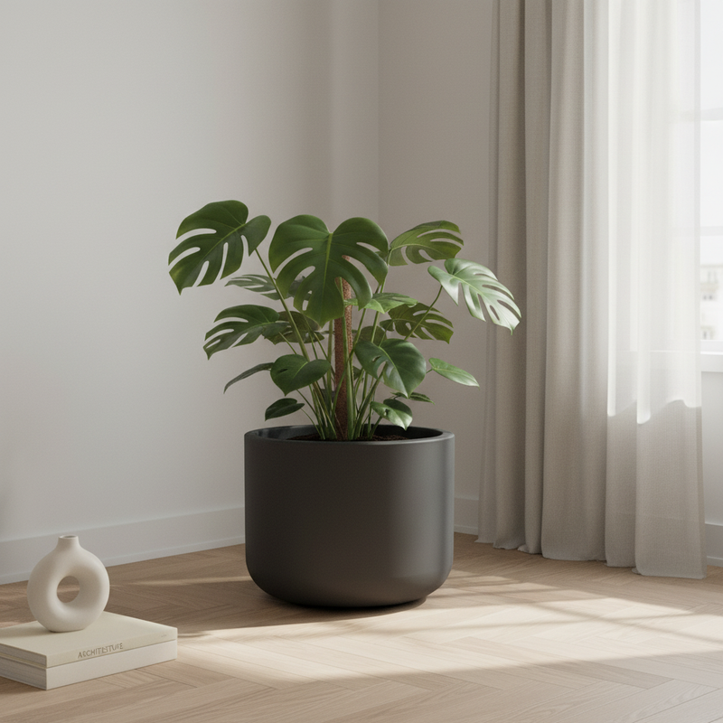 Interno minimal