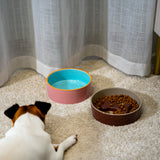 wd lifestyle wd lifestyle ciotola zampa cat d 16 cm azzurro rosso ean 8055035683089