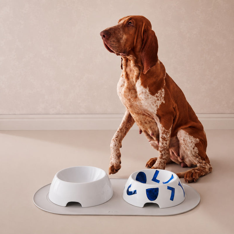 alessi alessi ciotola cibo cani in porcellana bianca samiro yunoki small d 18 cm ean 8003299503490