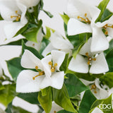 edg enzo de gasperi edg enzo de gasperi bouganvillea cespuglio x8 con foglie anti uv pianta artificiale h 50 cm bianco ean 8059824657893