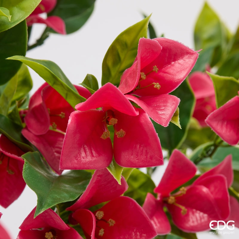 edg enzo de gasperi edg enzo de gasperi bouganvillea cespuglio x8 con foglie anti uv pianta artificiale h 50 cm fuchsia ean 8059824657879
