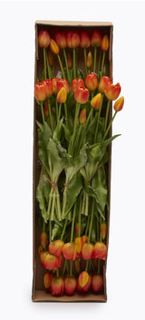 edg enzo de gasperi edg enzo de gasperi bouquet di 5 tulipani chiusi gomma olis h 40 cm arancione ean 8056372972287