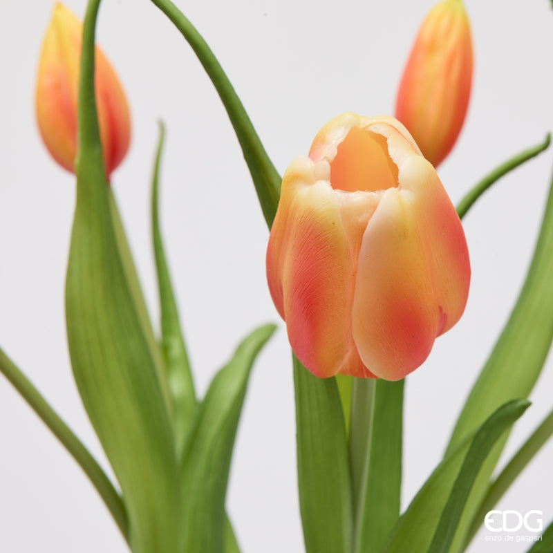 edg enzo de gasperi edg enzo de gasperi bouquete tulipano chiuso x4 h 40 cm con bocciolo arancione ean 8059824612960