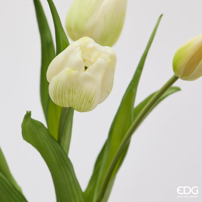 edg enzo de gasperi edg enzo de gasperi bouquete tulipano chiuso x4 h 40 cm con bocciolo bianco verde ean 8059824612885