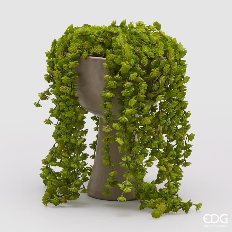 edg enzo de gasperi edg enzo de gasperi echeveria olis cespuglio cadente h 44 cm pianta artificiale verde ean 8059824213617