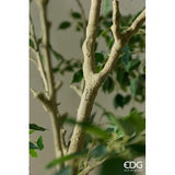 edg enzo de gasperi edg enzo de gasperi ficus beniamino vogue con vaso pianta artificiale h 240 cm verde ean 8059824607324