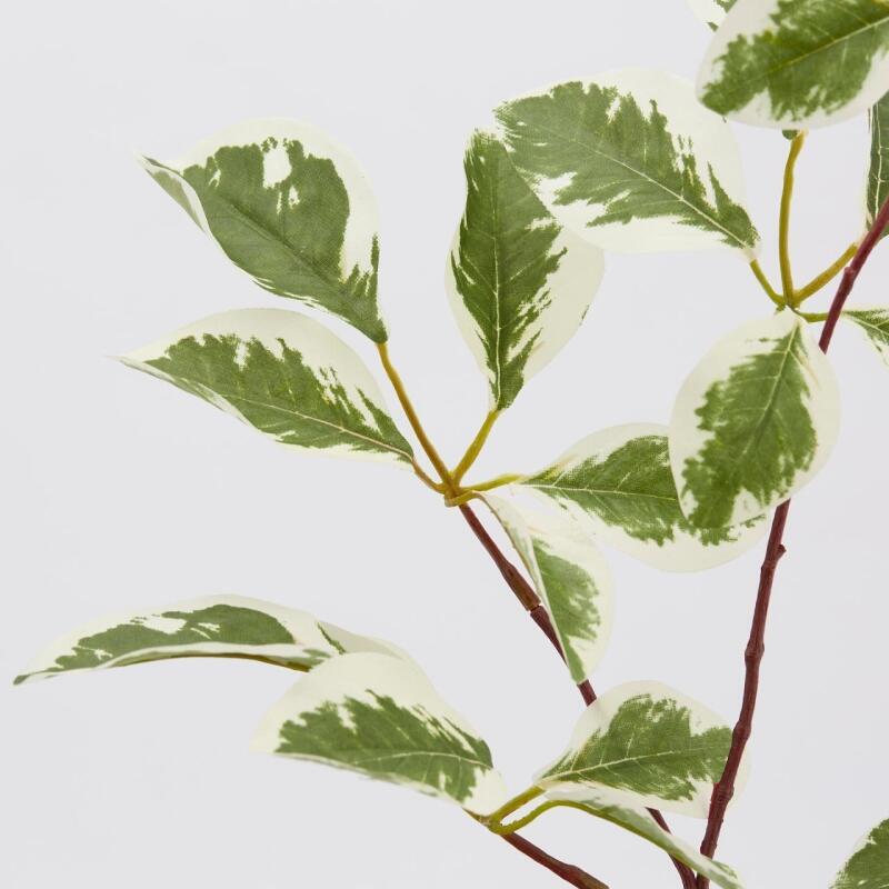 edg enzo de gasperi edg enzo de gasperi ficus benjiamin rex ass h 73 cm pianta artificiale bianco verde 1 pz ean 8059824231628