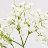 edg enzo de gasperi edg enzo de gasperi gypsophila ramo pianta artificiale h 66 cm avorio ean 8059824667359