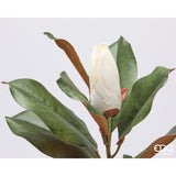 edg enzo de gasperi edg enzo de gasperi magnolia ramo con foglie e bocciolo h 85 cm pianta artificiale colore avorio ean 8059824613851