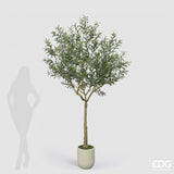 edg enzo de gasperi edg enzo de gasperi olivo con vaso h 240 cm pianta artificiale verde ean 8059824607485