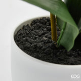 edg enzo de gasperi edg enzo de gasperi orchidea phalaenopsis con vaso e foglie h 50 cm pianta artificiale bianco ean 8059824513595