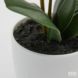 edg enzo de gasperi edg enzo de gasperi orchidea phalaenopsis con vaso e foglie h 50 cm pianta artificiale rosa chiaro ean 8059824513618