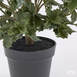edg enzo de gasperi edg enzo de gasperi pianta artificiale agrifoglio h 140 cm con vaso anti uv verde per interno ed esterno ean 8059824655363