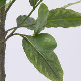 edg enzo de gasperi edg enzo de gasperi pianta artificiale di limoni con vaso h 56 cm green mix ean 8059824355898