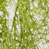 edg enzo de gasperi edg enzo de gasperi pianta artificiale erba palustre cadente h 106 cm light green pianta decorativa realistica design moderno ean 8059824667908