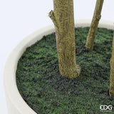 edg enzo de gasperi edg enzo de gasperi pianta artificiale ficus beniamino vogue con vaso h 240 cm pianta decorativa realistica design moderno ean 8059824655042