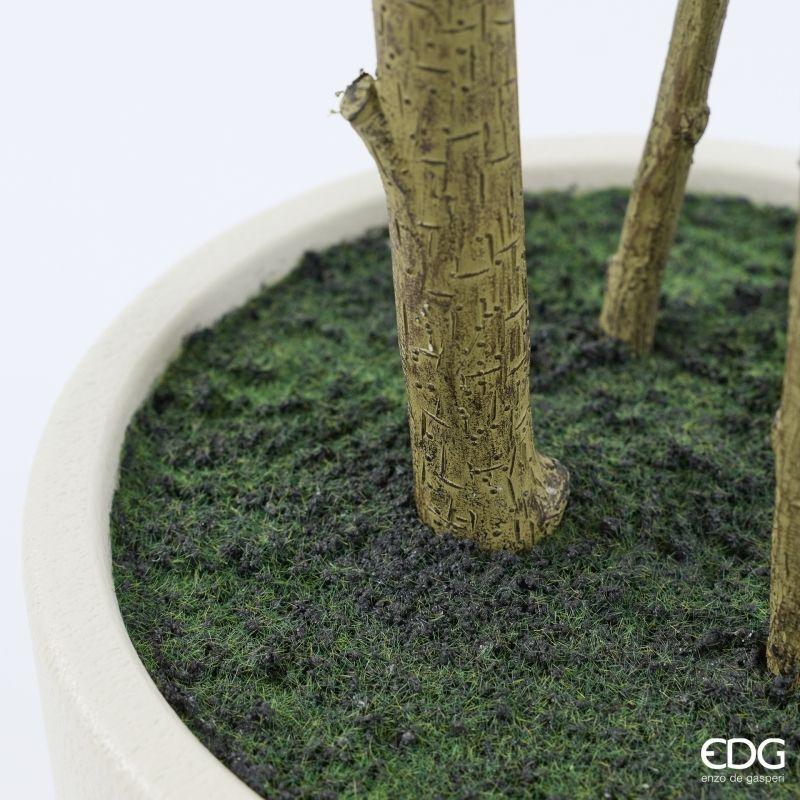 edg enzo de gasperi edg enzo de gasperi pianta artificiale ficus beniamino vogue con vaso h210 cm pianta decorativa realistica design moderno ean 8059824655059