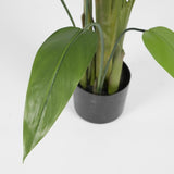 edg enzo de gasperi edg enzo de gasperi strelizia con vaso x26 pianta artificiale h 184 cm verde ean 8059824497963