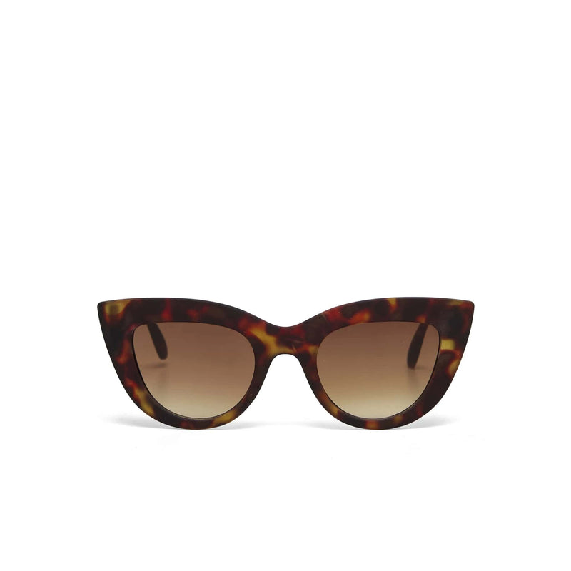 okkia okkia occhiale da sole premontato gatto big frame mod claudia classic havana ean 8056211371448