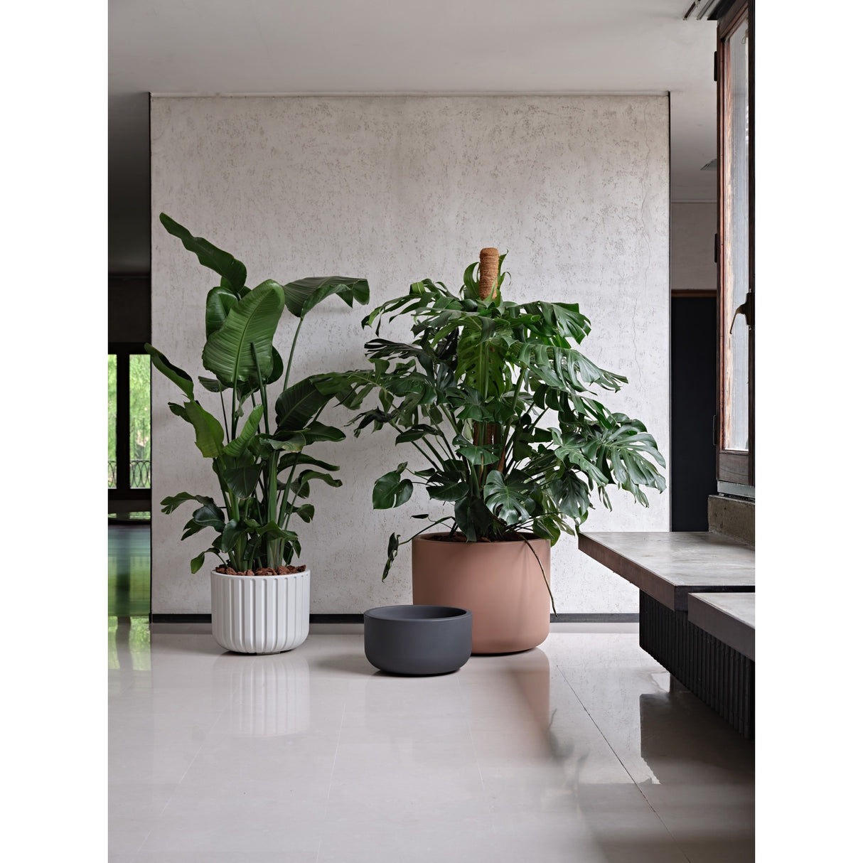 teraplast teraplast vaso pulse liscio 50 sovrapponibile resina canyon ean 8051560280236