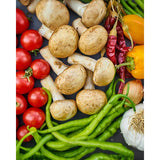 victorinox victorinox pelaverdure ypso lama dentellata doppio taglio acciaio lota nero ean 7613329185650