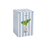 wd lifestyle wd lifestyle tazza in new bone china 330 ml decoro coniglio ean 8055035683546