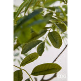 edg enzo de gasperi edg enzo de gasperi aralia vogue con vaso pianta artificiale h 230 cm verde ean 8059824607362