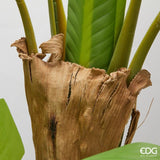 edg enzo de gasperi edg enzo de gasperi banano con vaso pianta artificiale h 150 cm verde ean 8059824607126