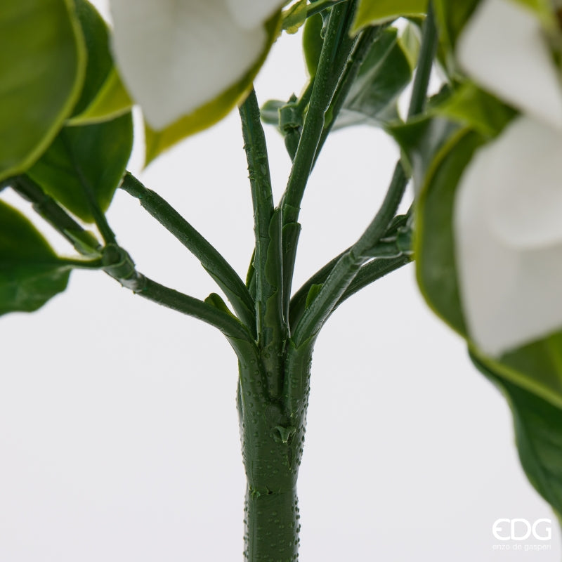 edg enzo de gasperi edg enzo de gasperi bouganvillea cespuglio x8 con foglie anti uv pianta artificiale h 50 cm bianco ean 8059824657893