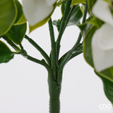 edg enzo de gasperi edg enzo de gasperi bouganvillea cespuglio x8 con foglie anti uv pianta artificiale h 50 cm bianco ean 8059824657893