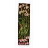 edg enzo de gasperi edg enzo de gasperi bouquet di 5 tulipani chiusi gomma olis ass h 40 cm bianco o rosa 1 pz ean 8059824081803