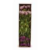 edg enzo de gasperi edg enzo de gasperi bouquet di 5 tulipani chiusi gomma olis ass h 40 cm lilac 1 pz ean 8059824081865