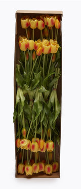 edg enzo de gasperi edg enzo de gasperi bouquet di 5 tulipani chiusi gomma olis h 40 cm giallo rosso ean 8059824081650